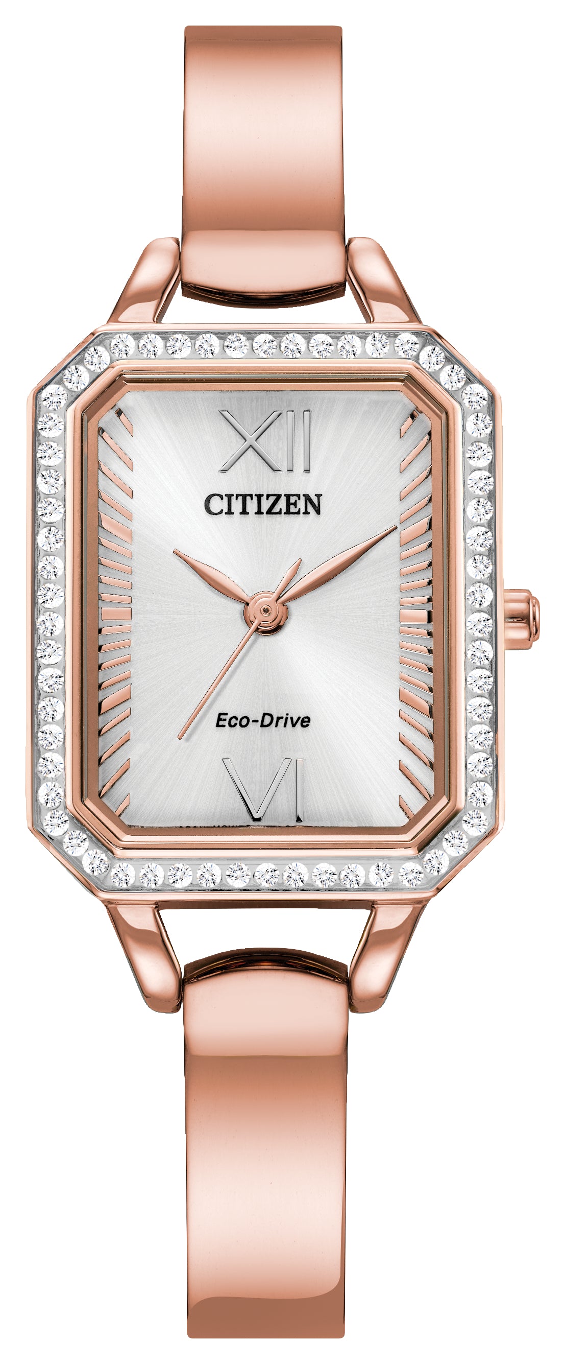 Citizen Womens Watch EM0983-51A