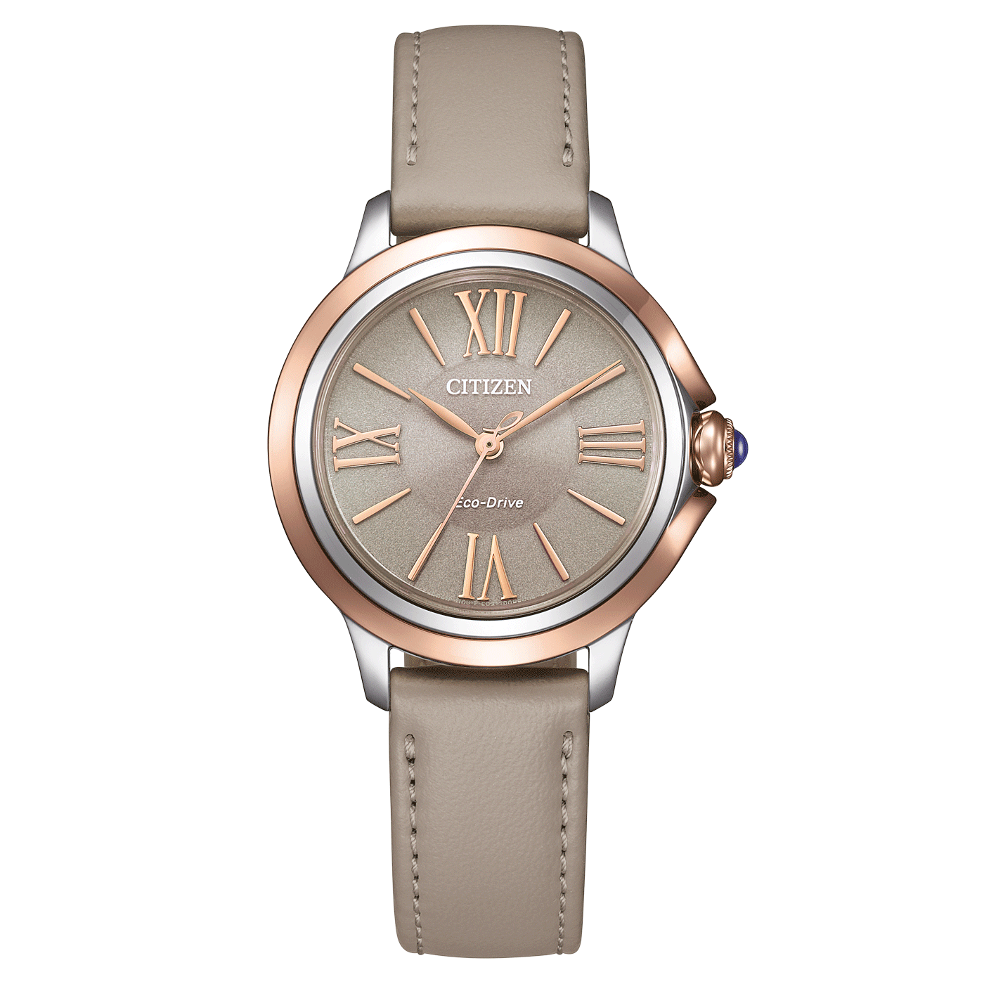 Citizen Eco-Drive Womens Watch EM1166-01Z