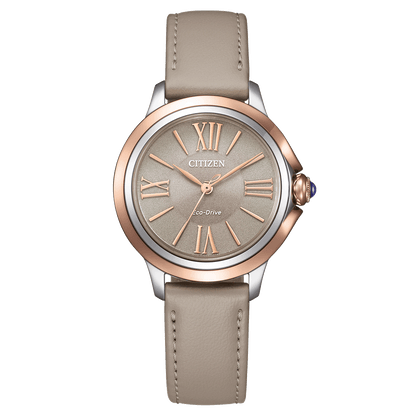Citizen Eco-Drive Womens Watch EM1166-01Z